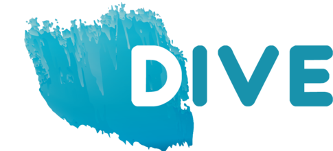 DIVE - Diversity in Pan-European Networks (2017-2019)